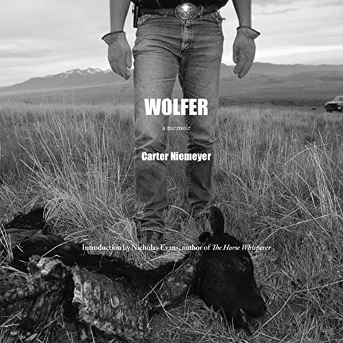 Audiobook cover 7