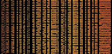 Your Projects, Anywhere